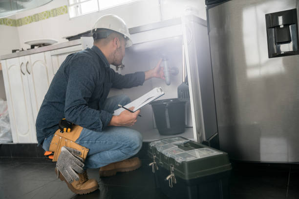 Best Plumbing Inspection Services  in Lyons, WI
