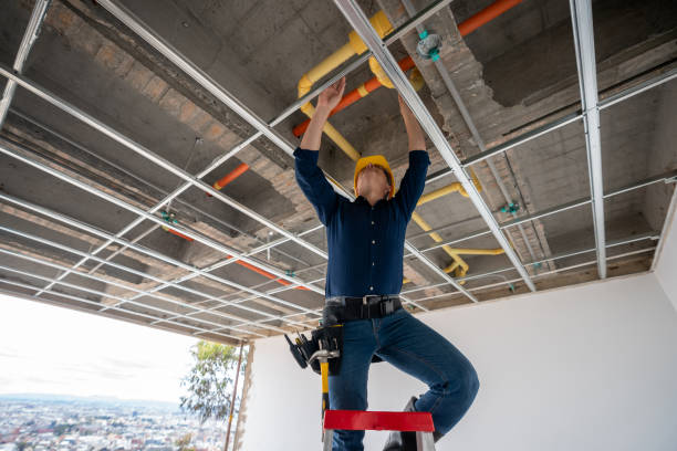 Best Emergency Plumbing Repair  in Lyons, WI