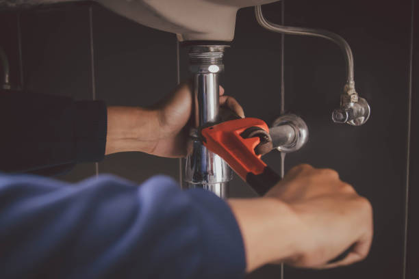 Best Clogged Drain Plumber  in Lyons, WI