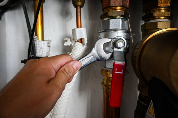 Best Emergency Plumbing Repair  in Lyons, WI